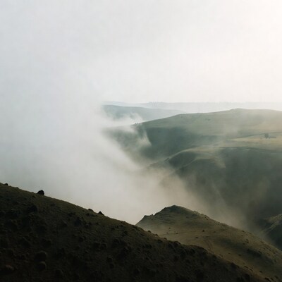 Misty Green Hills and Valleys