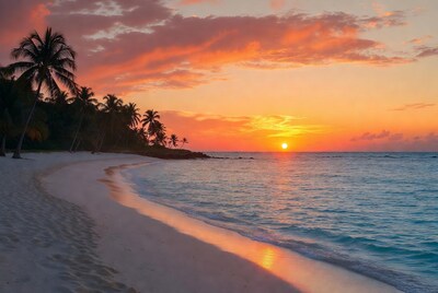 Sunset over tropical beach with palms