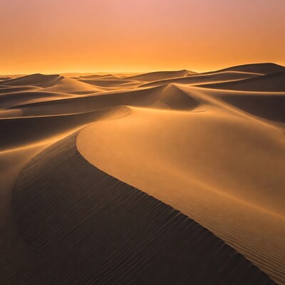 Golden Sand Dunes at Sunset