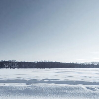 Snowy Field with Distant Trees