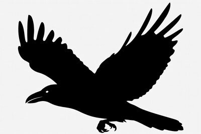 Flying Raven Silhouette