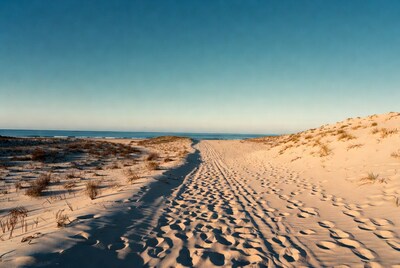 Footprints trail through sand dunes to ocean