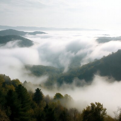 Foggy Mountains with Dense Clouds