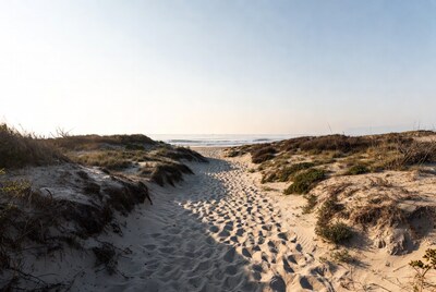 Sandy path through dunes to ocean