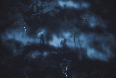 Dark Forest with Lightning and Fog