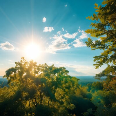 Bright Sun Rays Over Green Trees