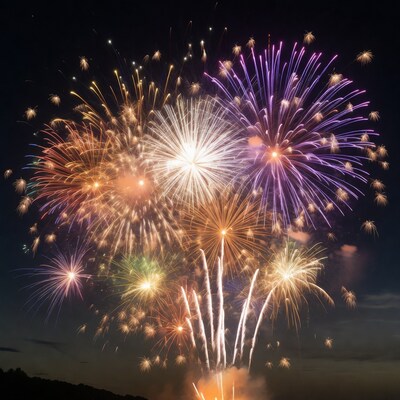 Colorful Fireworks Exploding in Night Sky