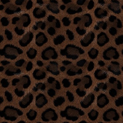 Leopard Print Pattern Texture