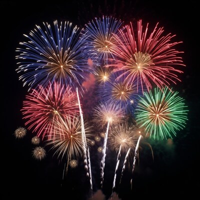 Colorful Fireworks Exploding in Night Sky