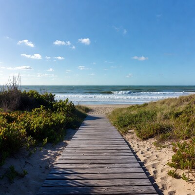 Wooden boardwalk to beach ocean