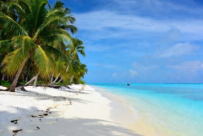 Tropical beach with palm trees and pier