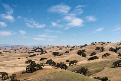 Golden Oak-Covered Hills Landscape