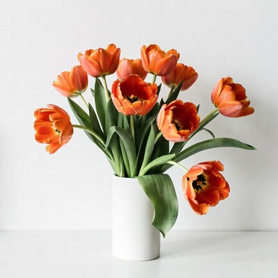 Orange tulips in white vase