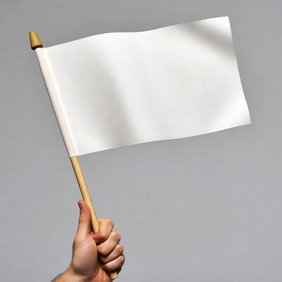 Hand holding blank white flag