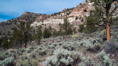 Cliff dwellings in desert mountains