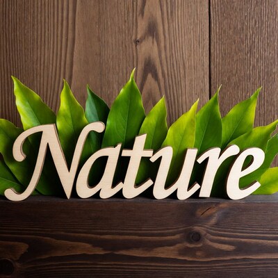 Nature Wooden Letters with Green Leaves
