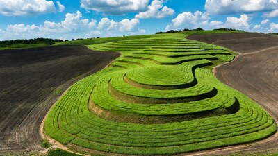 Curved Green Rice Terraces on Hillside