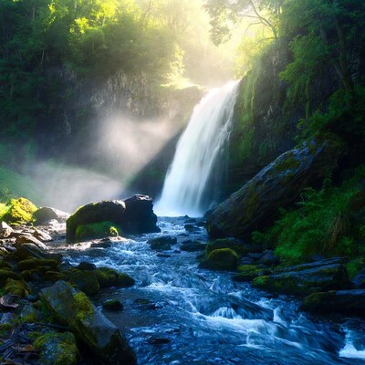 Majestic Waterfall in Sunlit Forest