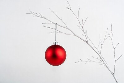 Red Christmas ornament on white branches