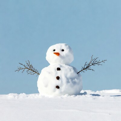 Snowman with carrot nose on snow