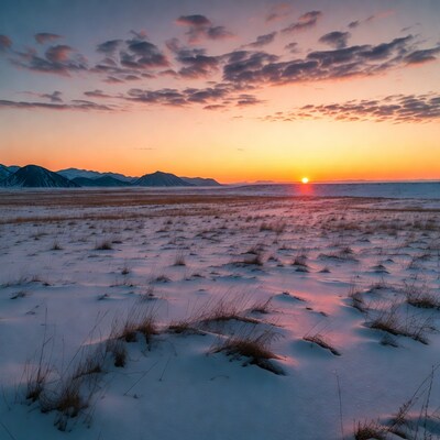 Sunset over snowy mountains and grass