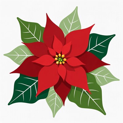 Red Poinsettia Flower Illustration