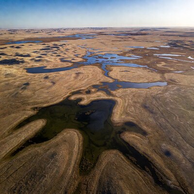 Aerial view of desert wetlands