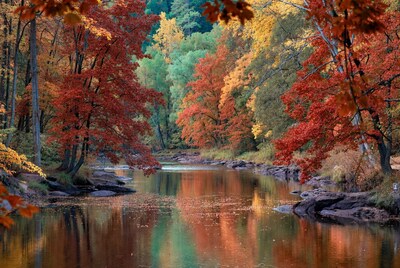 Autumn River with Colorful Foliage Reflection