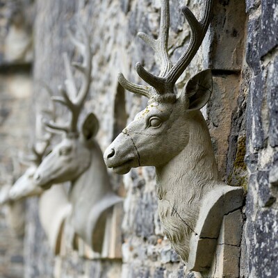 Stone deer busts on stone wall