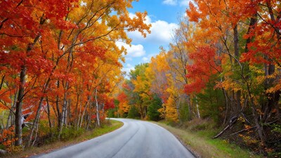 Curvy road through autumn forest