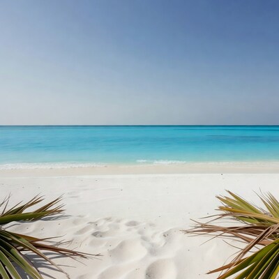 Tropical beach with turquoise ocean