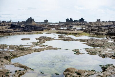 Rugged Sea Stacks and Tidal Pools