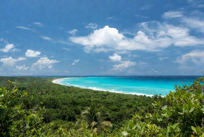 Turquoise Bay from Tropical Forest Viewpoint