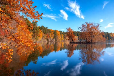 Autumn Trees Reflecting in Lake