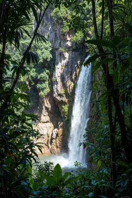Waterfall in lush jungle framed by foliage