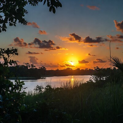 Sunset over lake with tropical vegetation