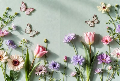 Pink Tulips Butterflies Flowers Flat Lay