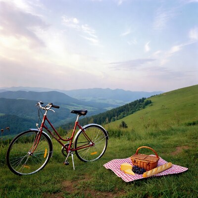 Red Bicycle Picnic Basket Mountains