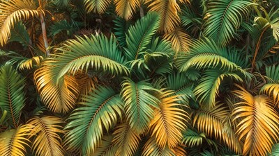 Lush Green and Yellow Palm Fronds