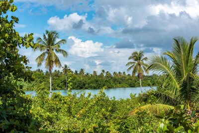 Tropical Lagoon with Palm Trees