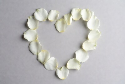 White rose petals forming heart