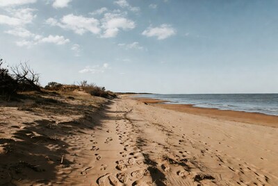 Footprints on sandy beach to ocean