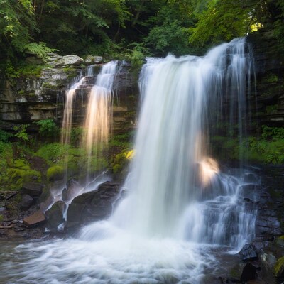 Waterfall cascading in lush forest
