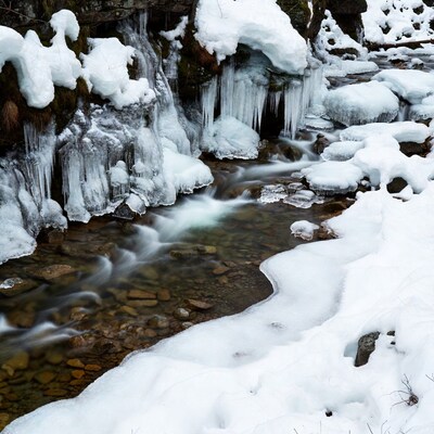 Winter Stream with Icicles and Snow