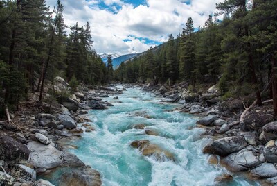 Turquoise River Flowing Through Pine Forest Mountains