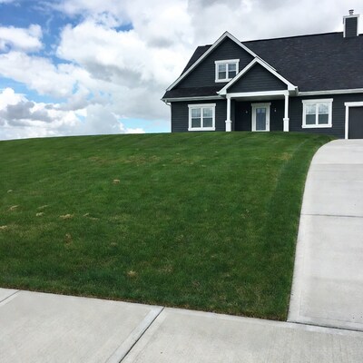 Dark gray house on green hill