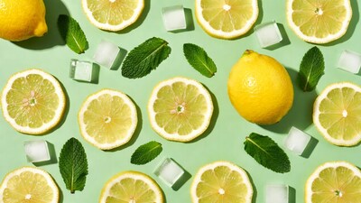 Lemons Mint Ice Cubes Flat Lay