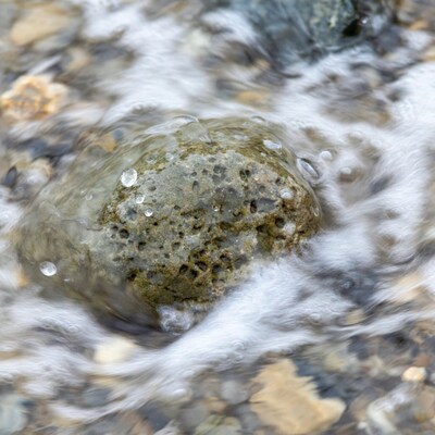 Wet rock in flowing stream water