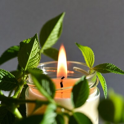 Mint Leaves Around Burning Candle