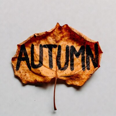 Autumn Leaf with Black Text